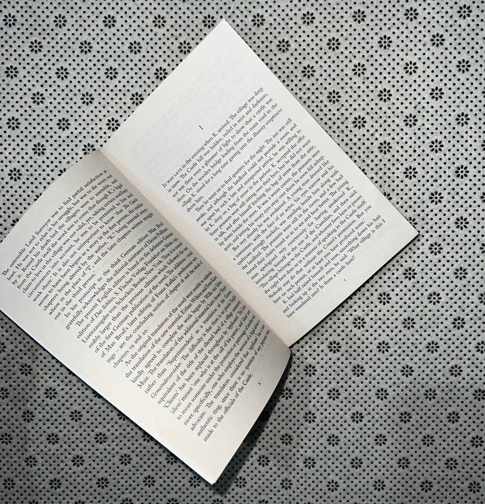 the castle by franz kafka