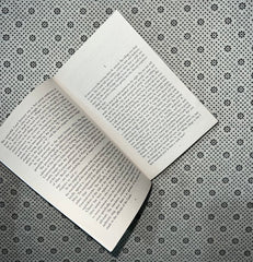 the castle by franz kafka