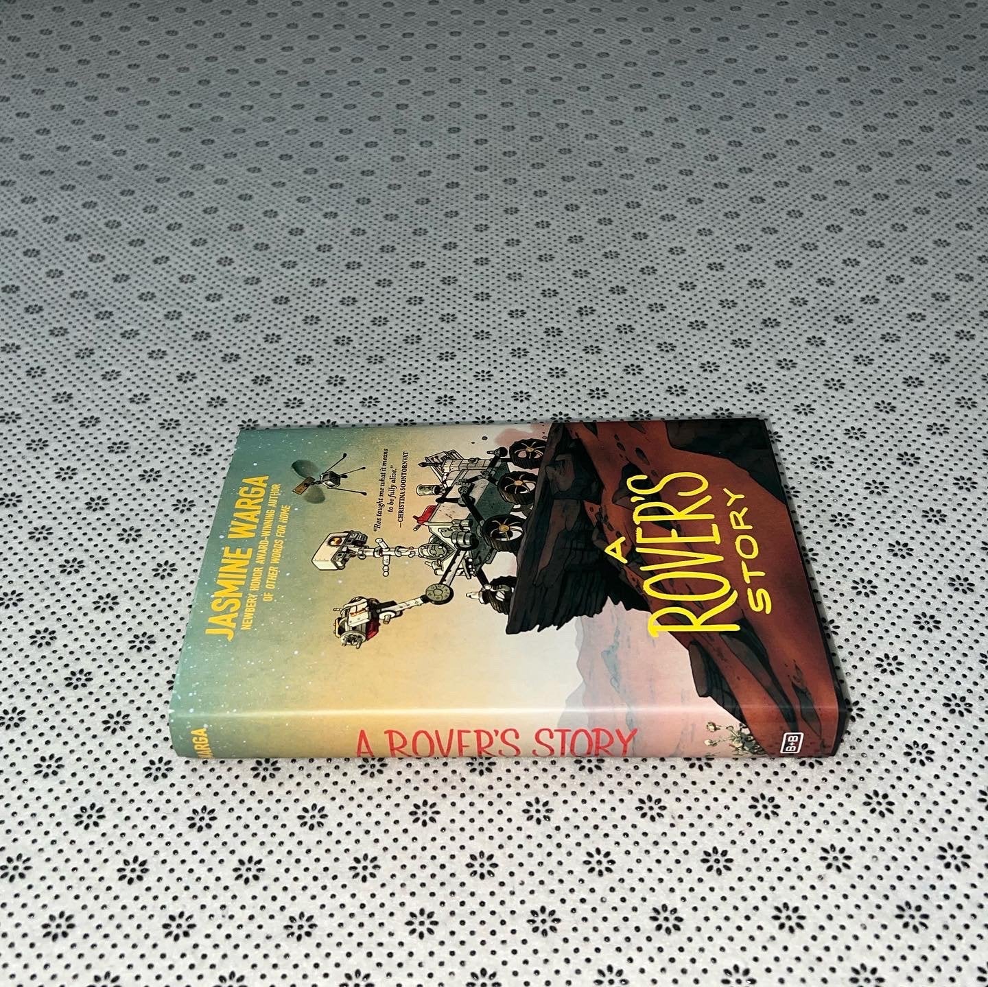a rovers story by jasmine warga