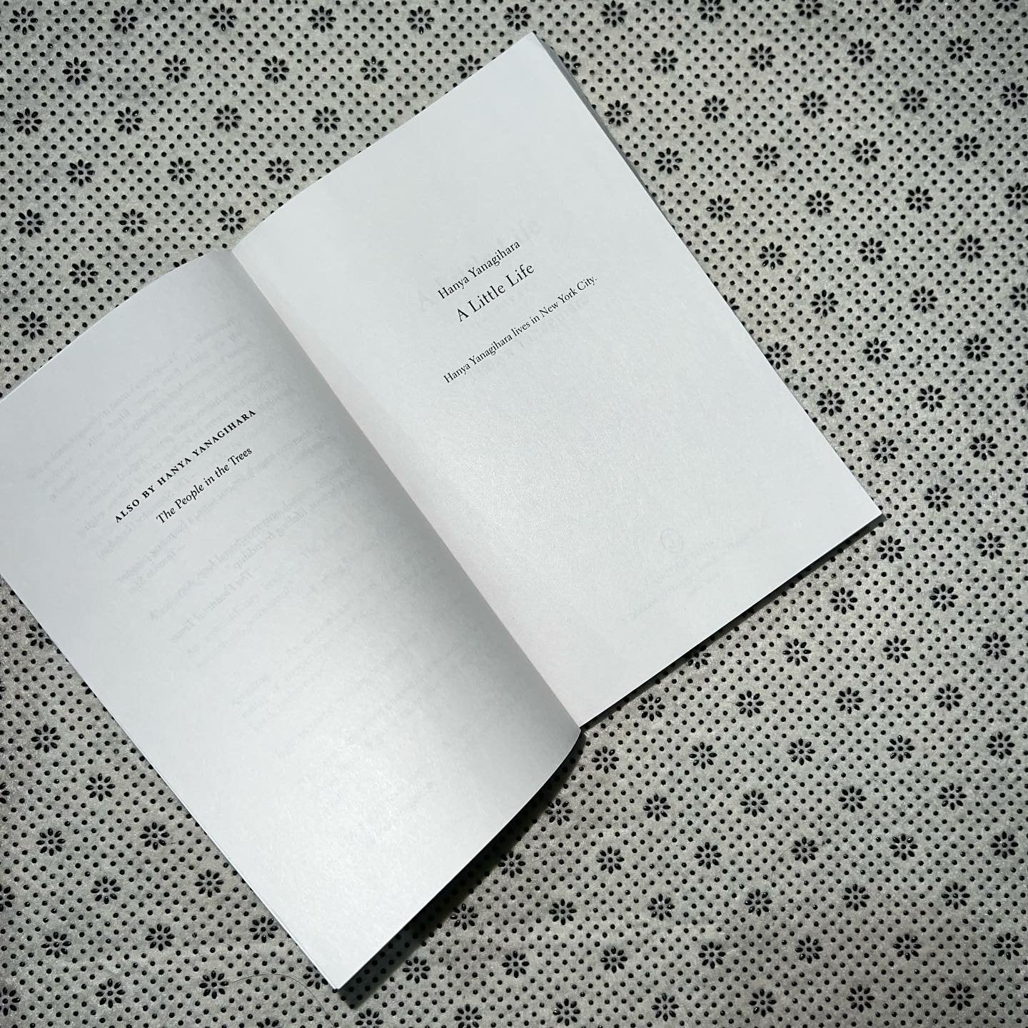 a little life by hanya yanagihara 1