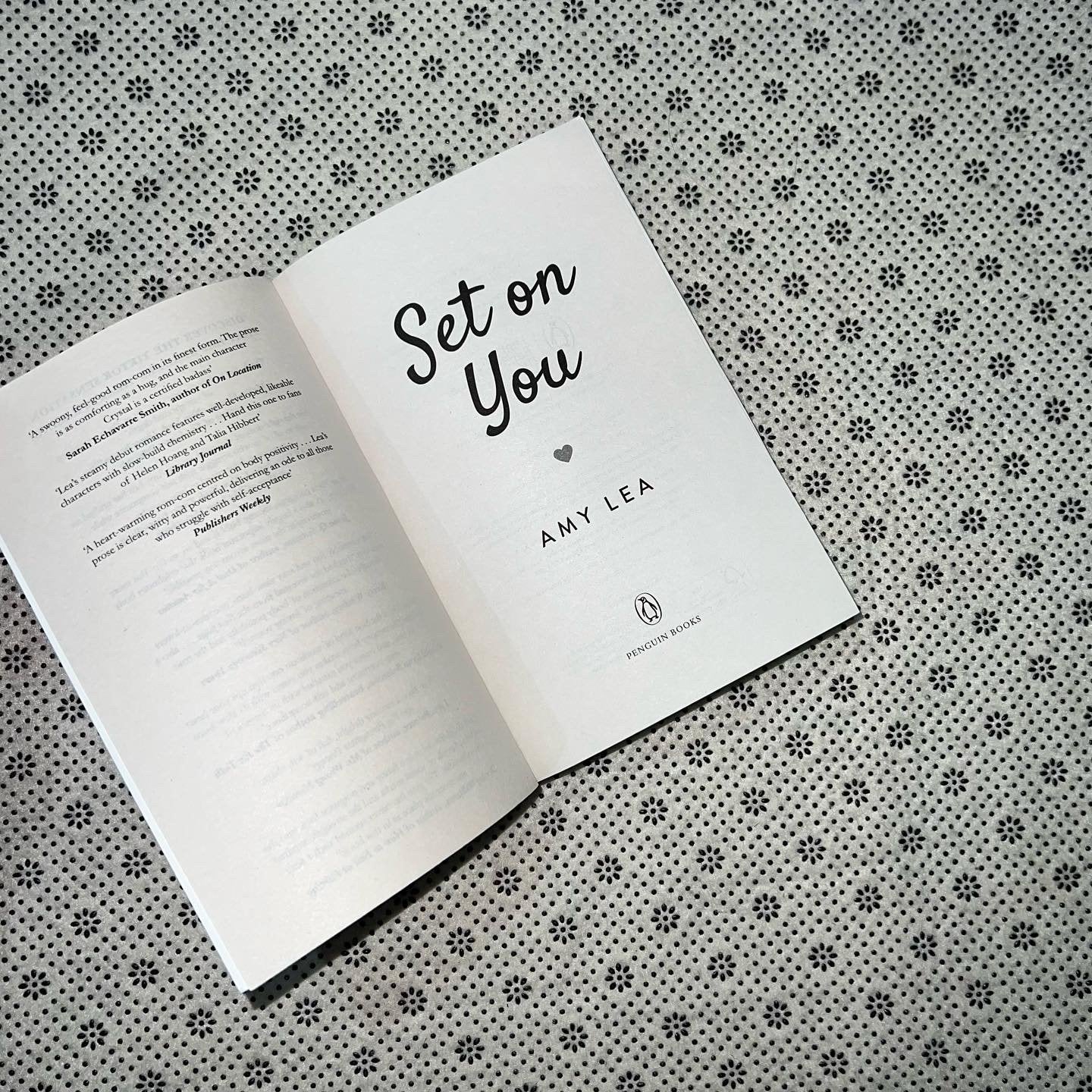 set on you by amy lea