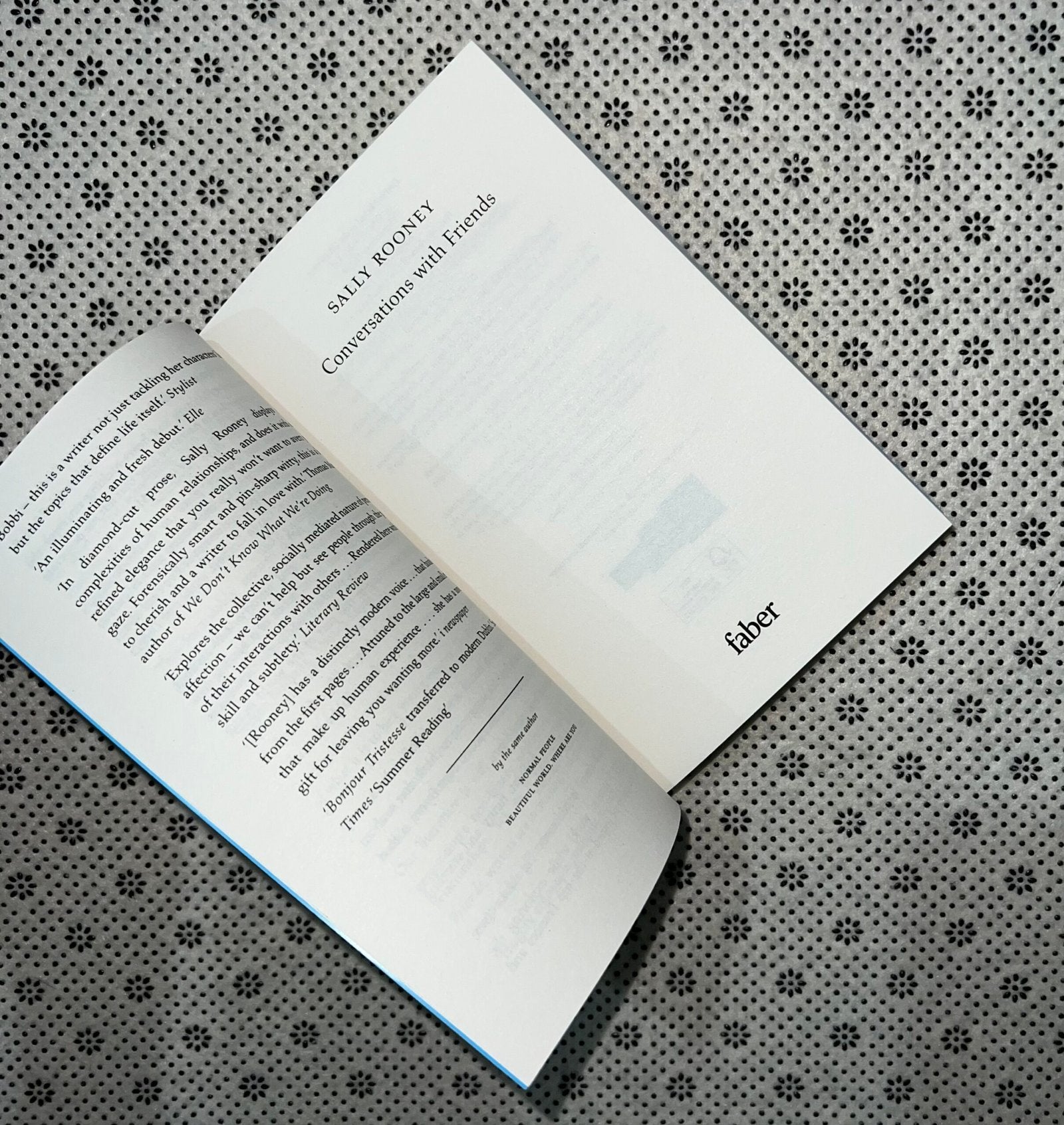 conversations with friends by sally rooney