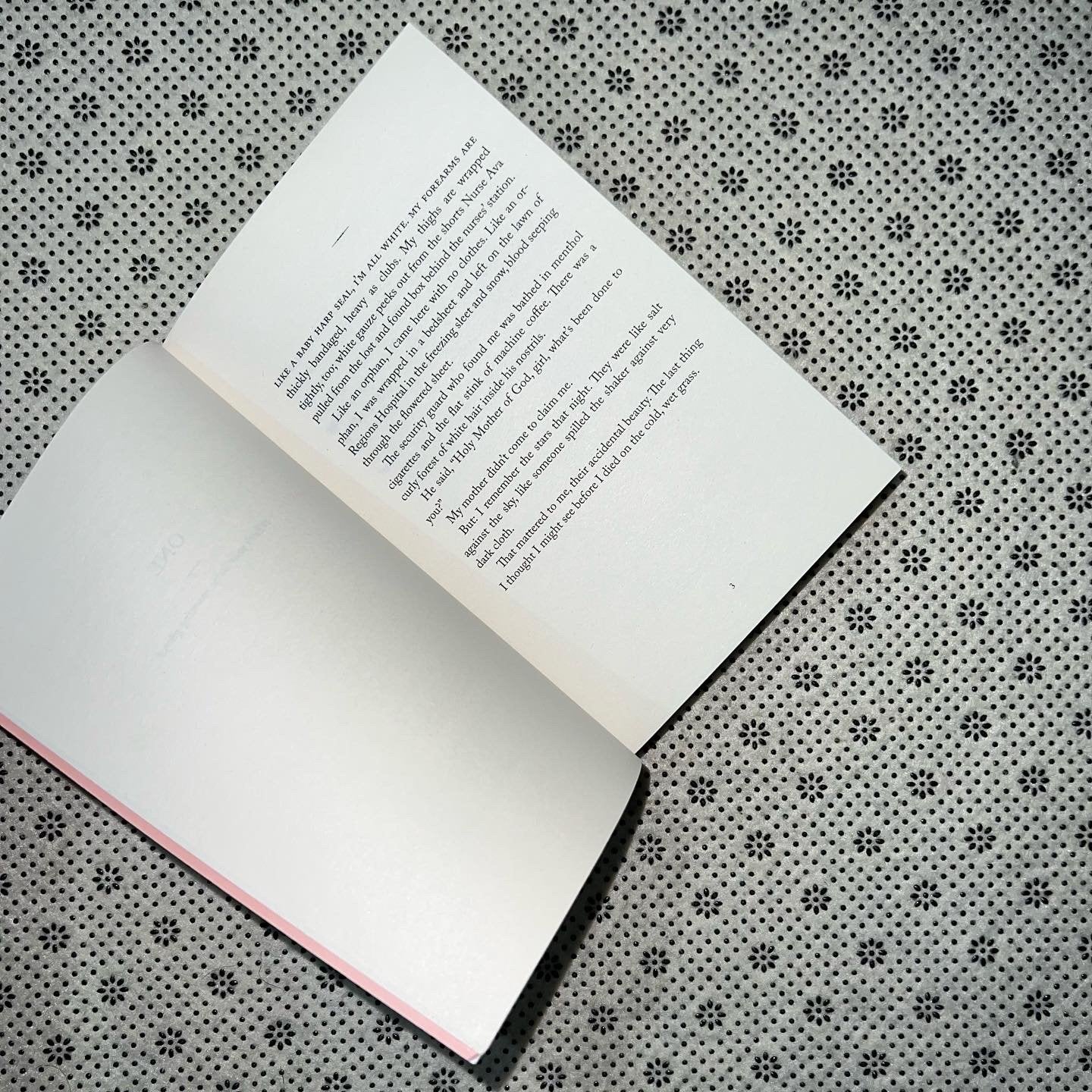 girl in pieces by kathleen glasgow