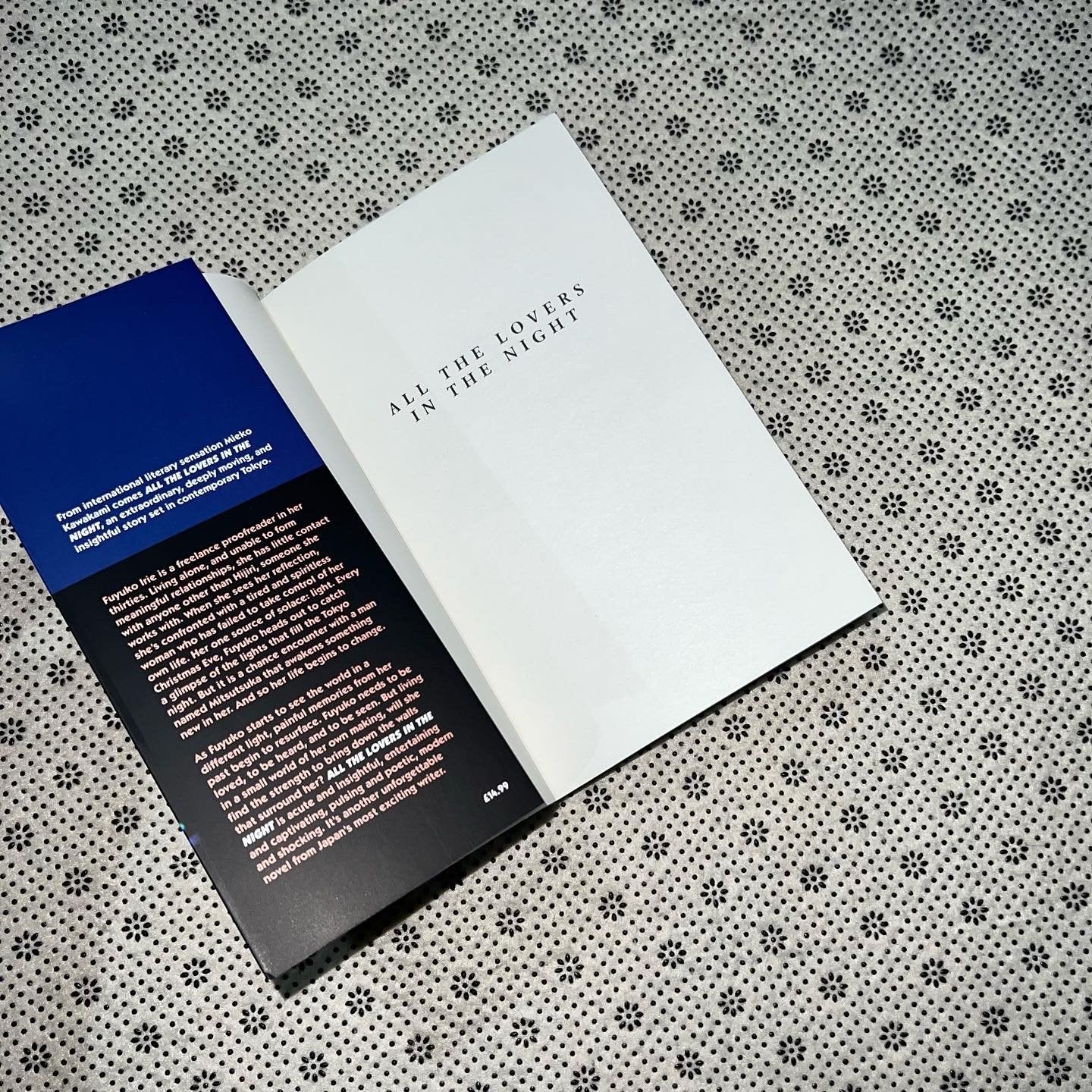 all the lovers in the night by mieko kawakami