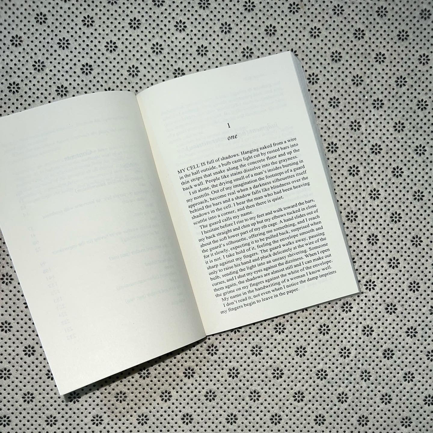 moth smoke by mohsin hamid