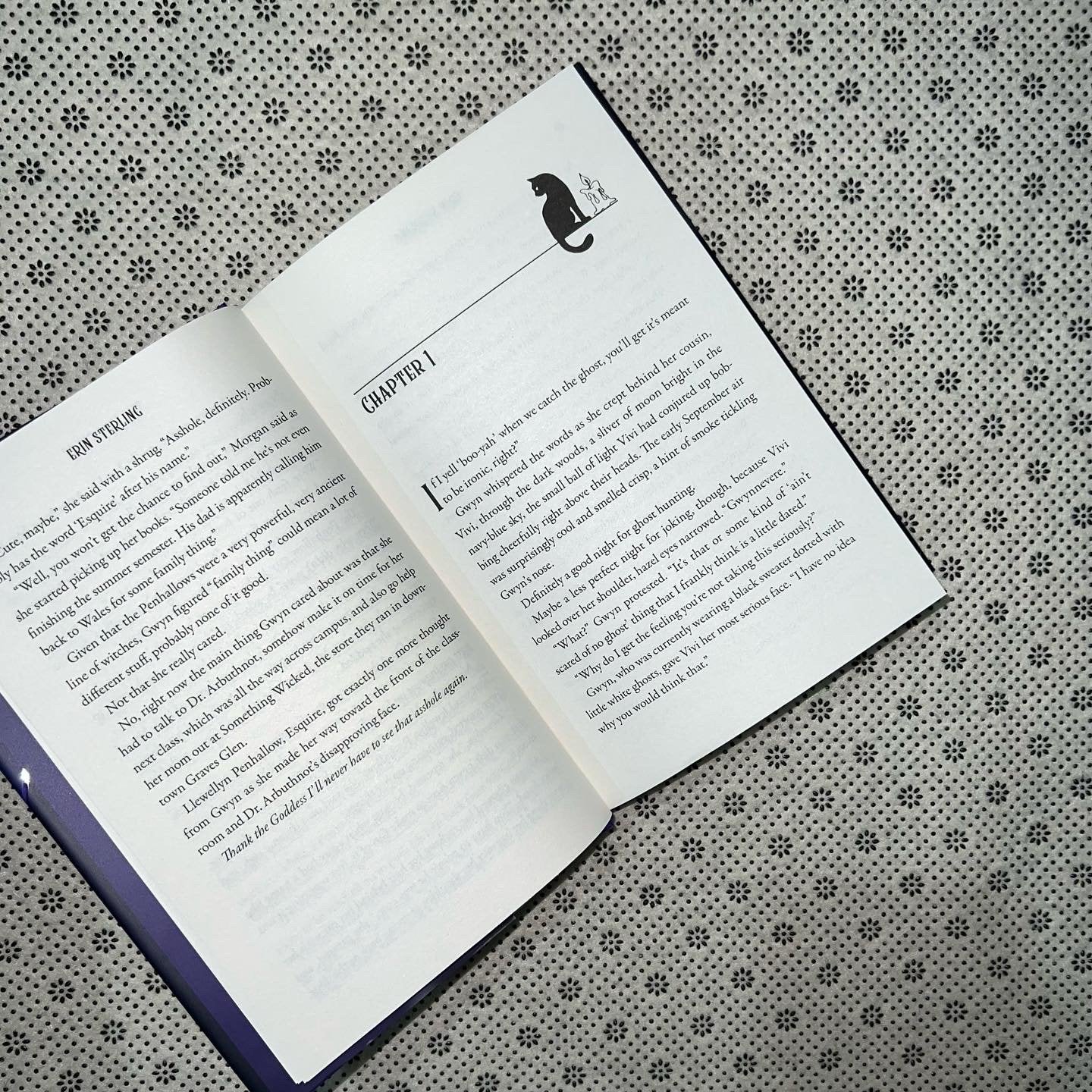 the kiss curse by erin sterling
