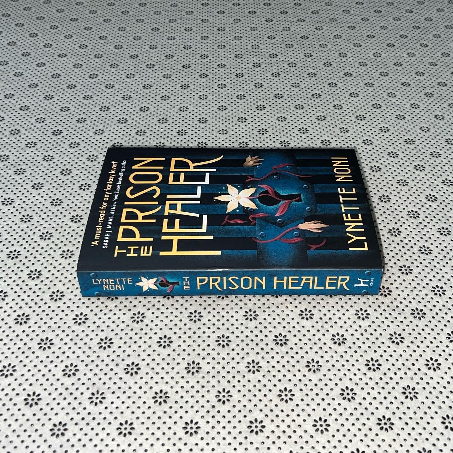 the prison healer by lynette noni