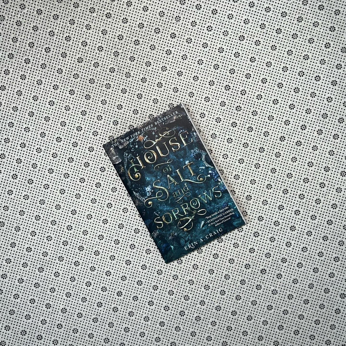 house of salt and sorrows by erin a craig