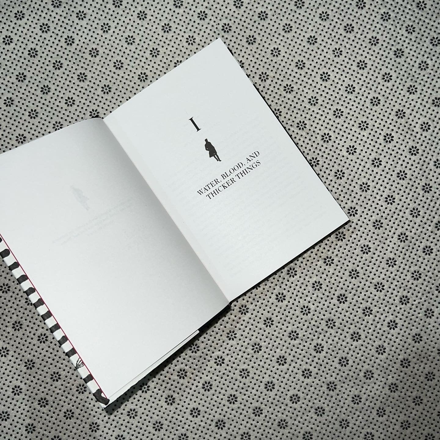 vicious the villains series book 1 by v e schwab