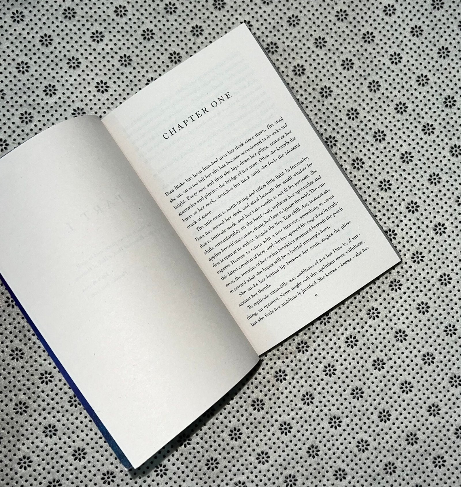 pandora by susan stokes chapman