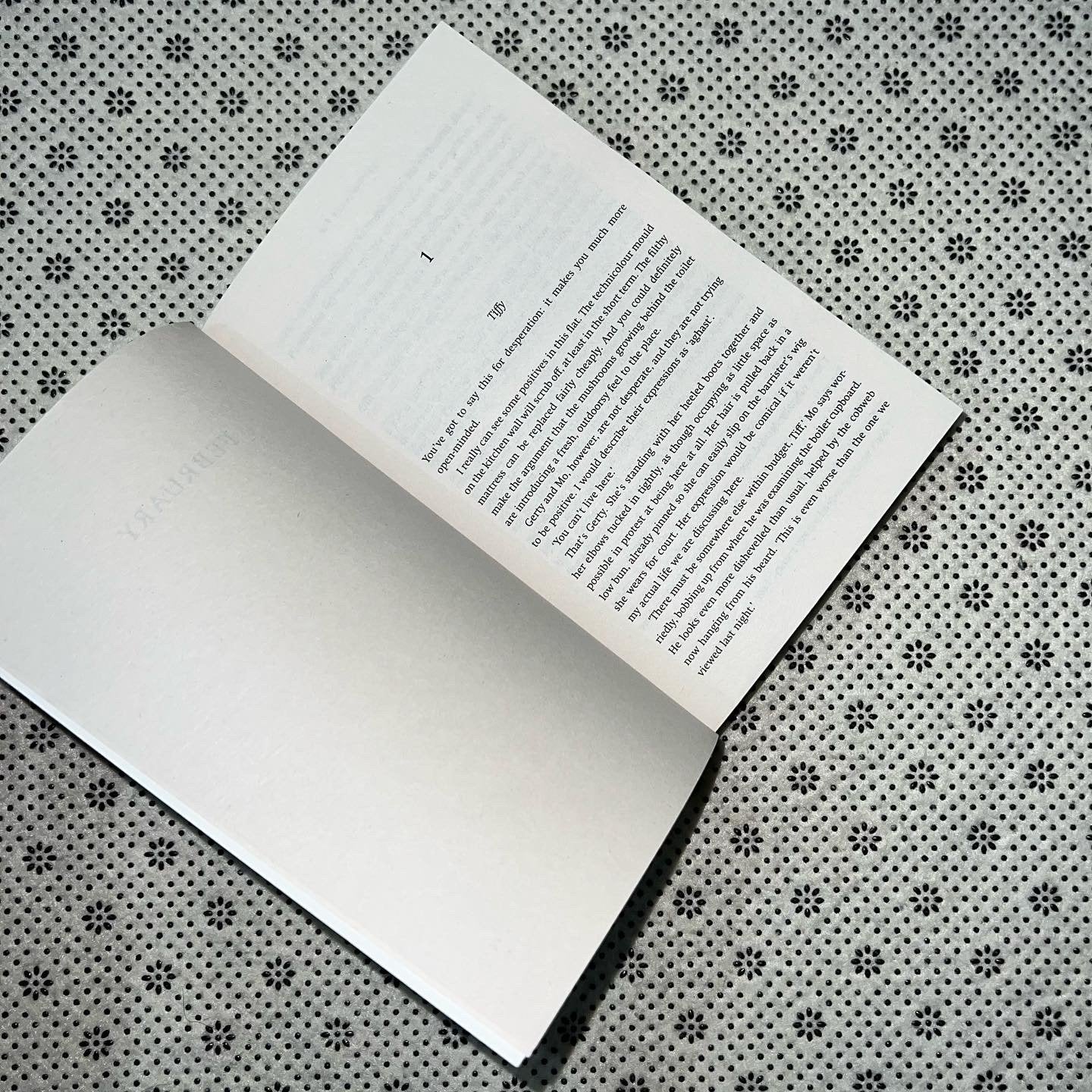 the flatshare tv tie in edition by beth oleary