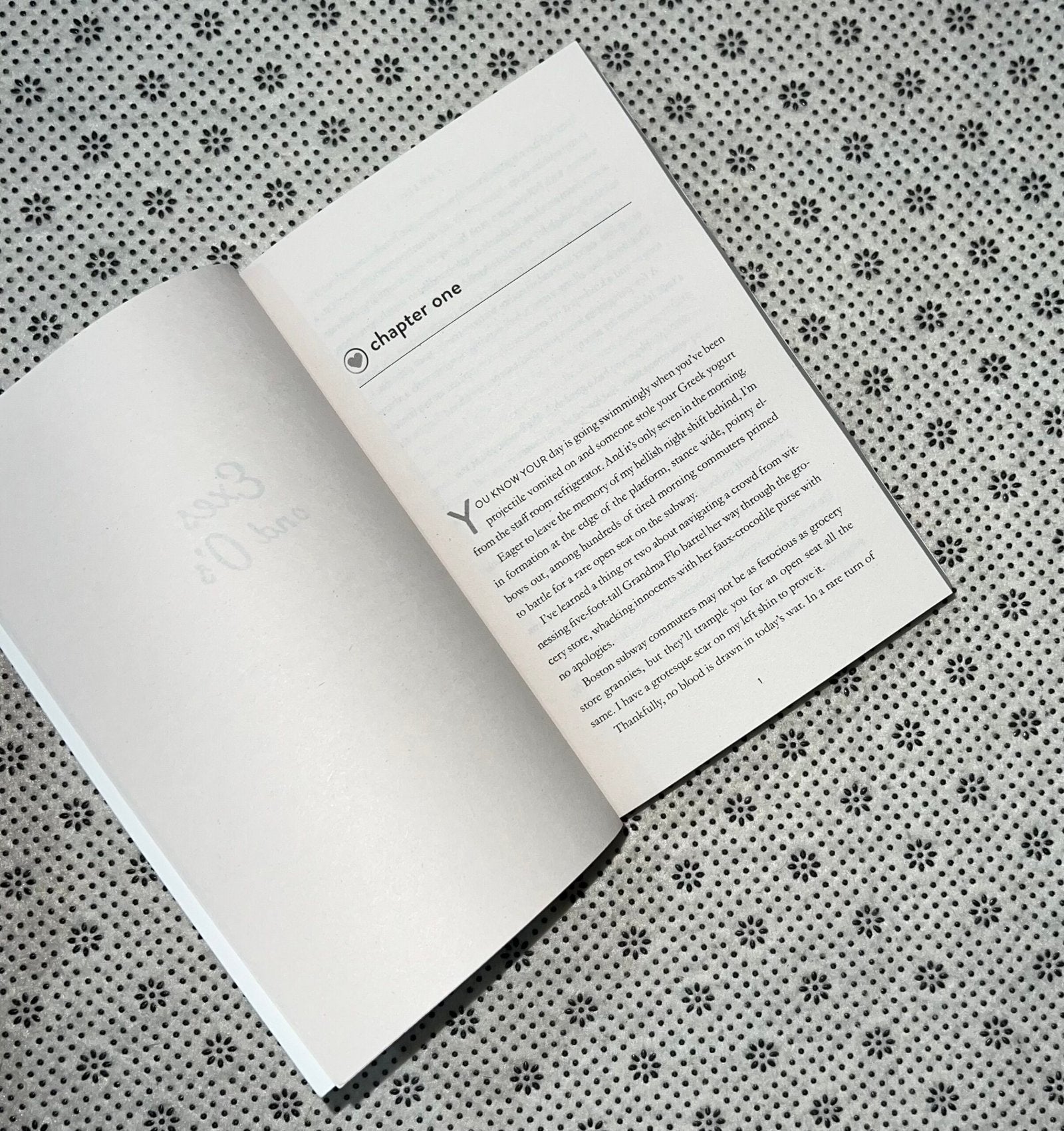 exes os by amy lea