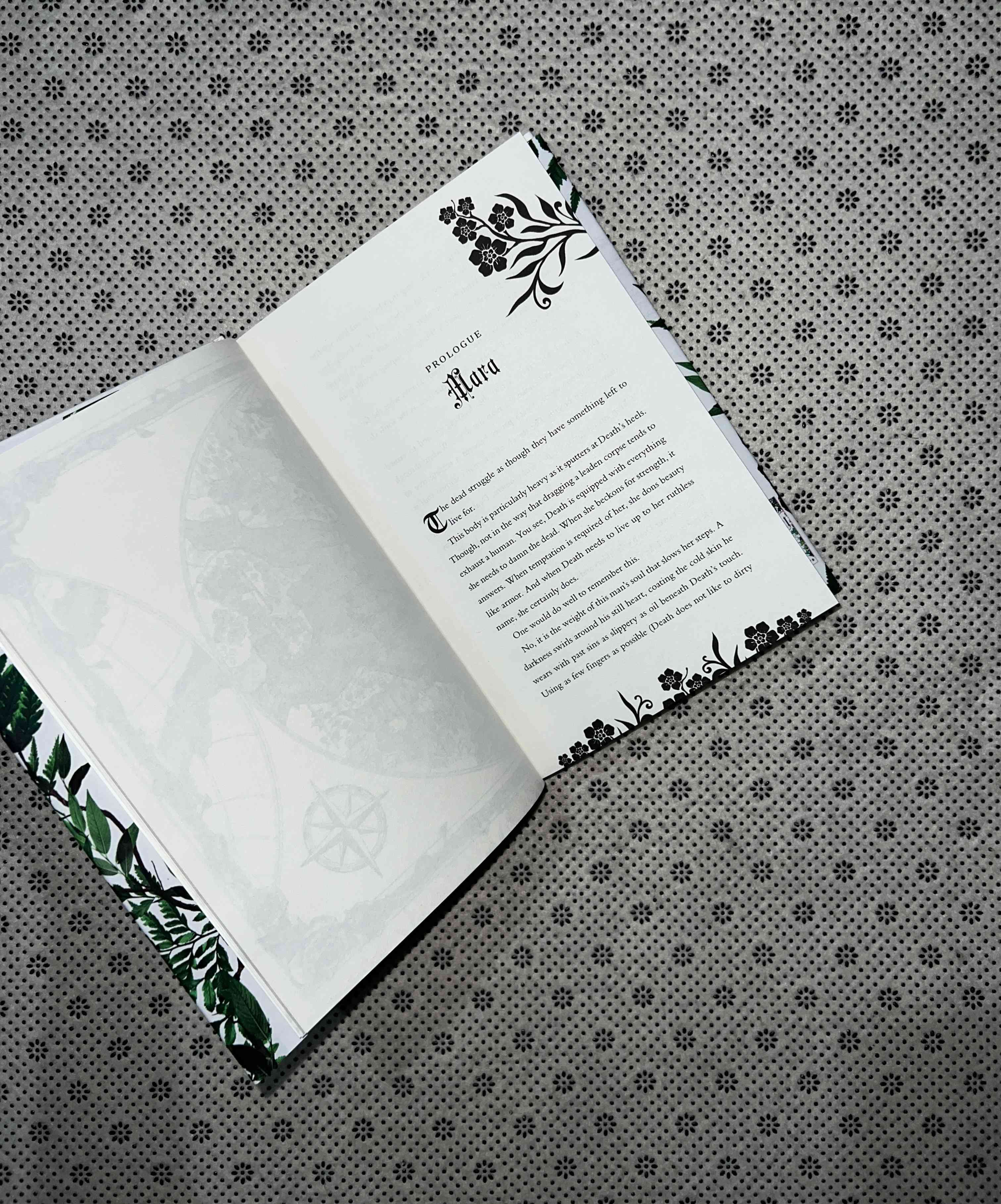 FEARFUL: Related To The Powerless Trilogy (Foiled Cover Edition) by Lauren Roberts