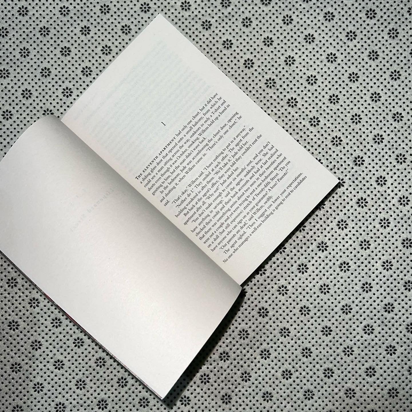 a little life by hanya yanagihara