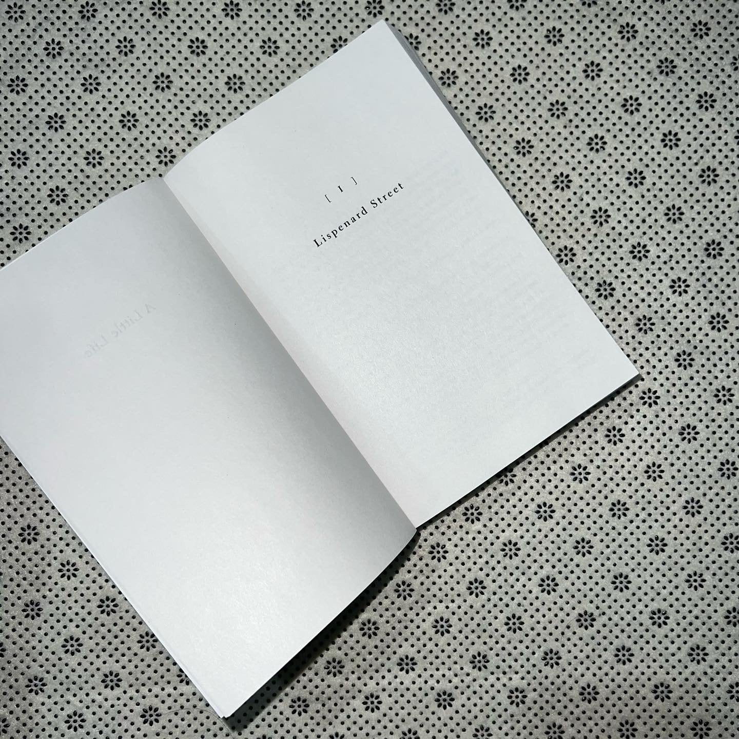 a little life by hanya yanagihara 1