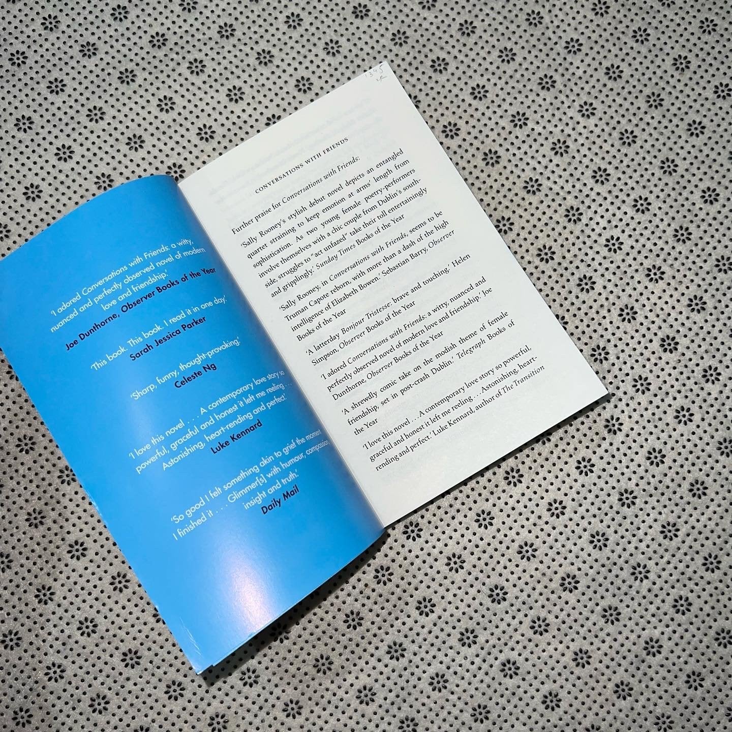 conversations with friends by sally rooney
