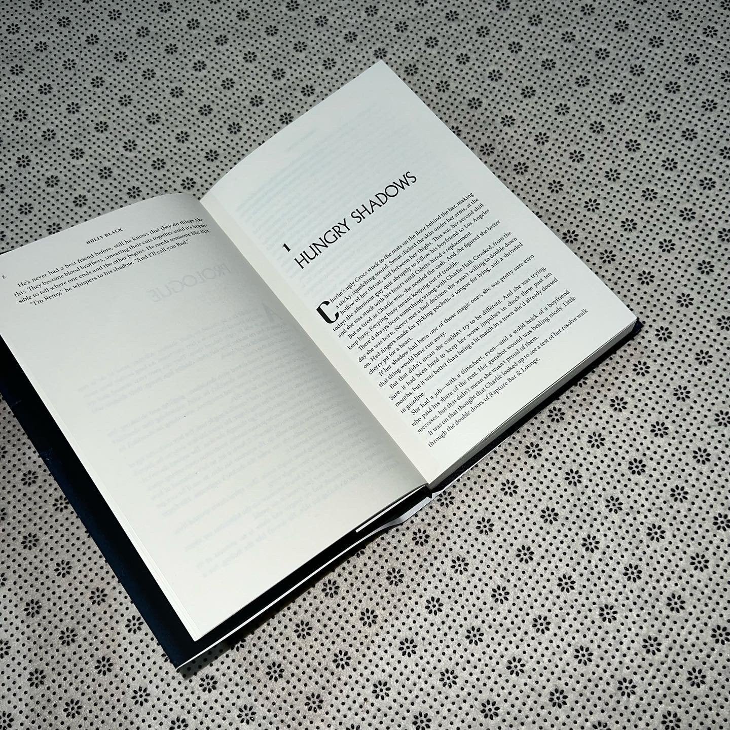book of night by holly black
