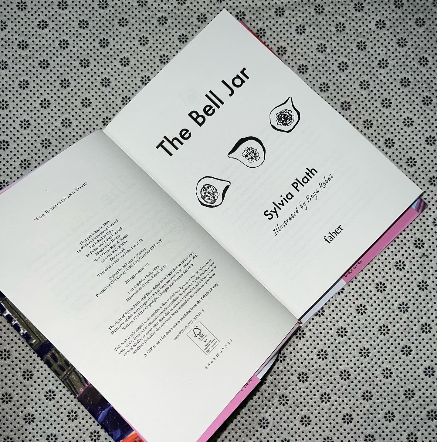 the bell jar illustrated edition by sylvia plath