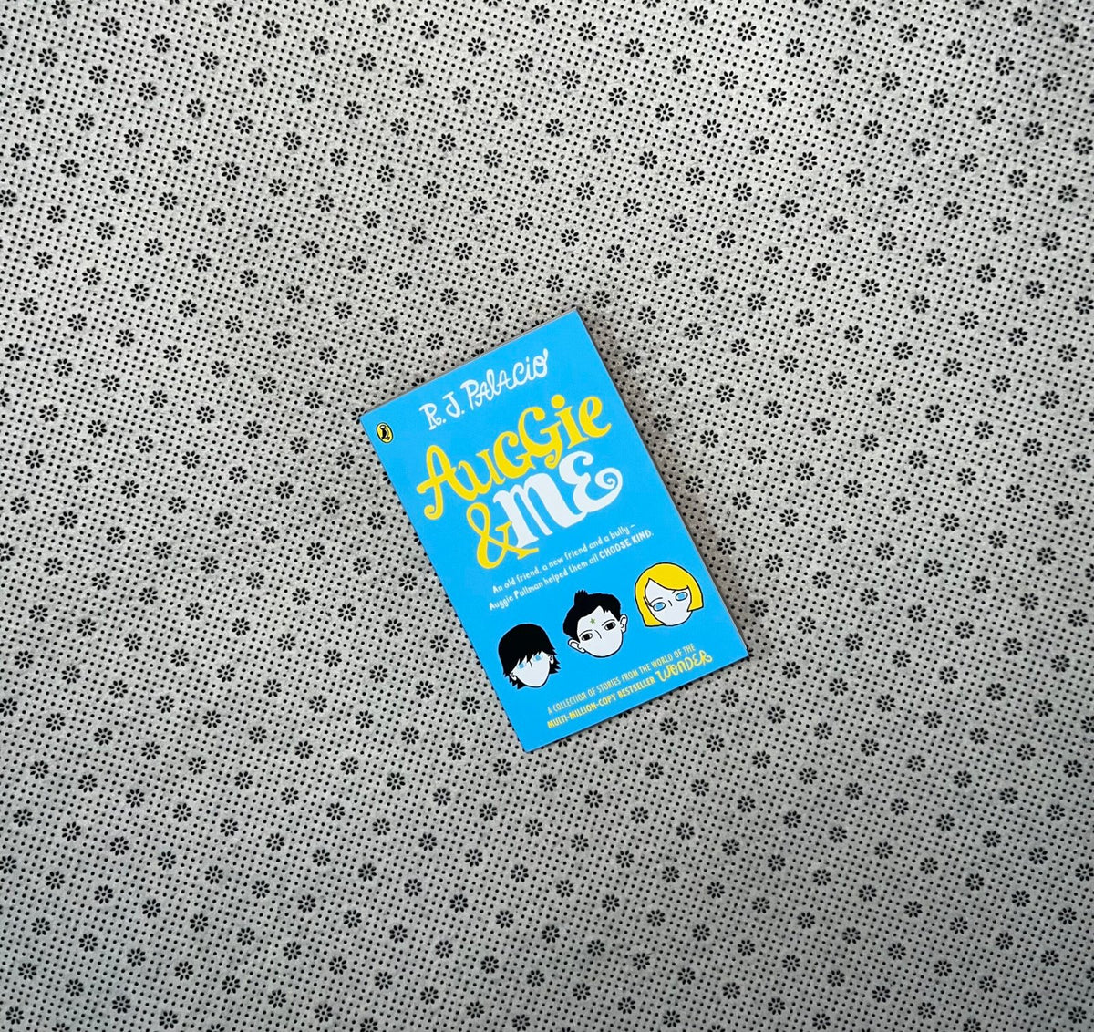 auggie and me by r j palacio