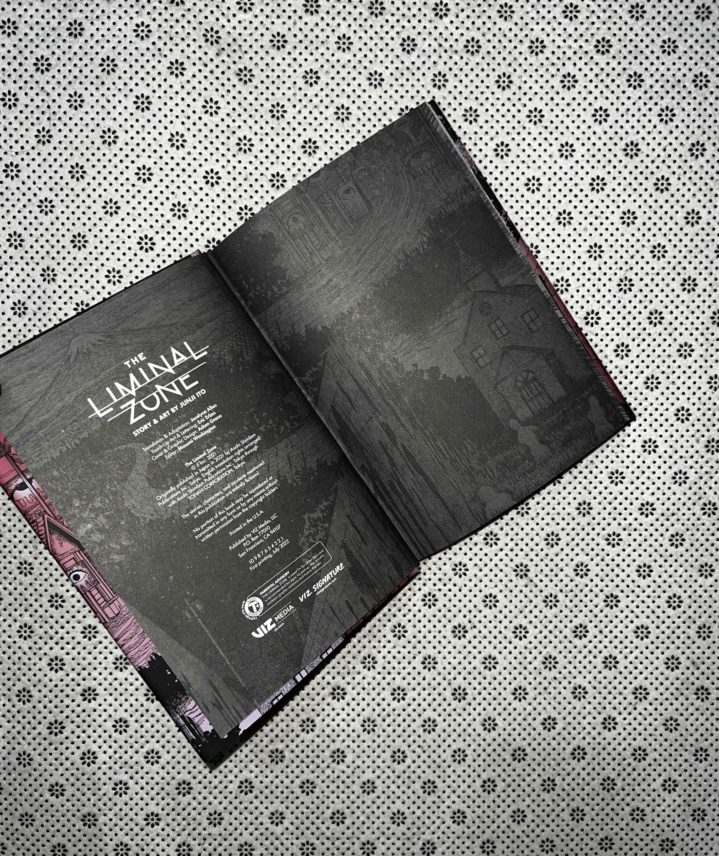 LIMINAL ZONE: (Volume 1) by Junji Ito