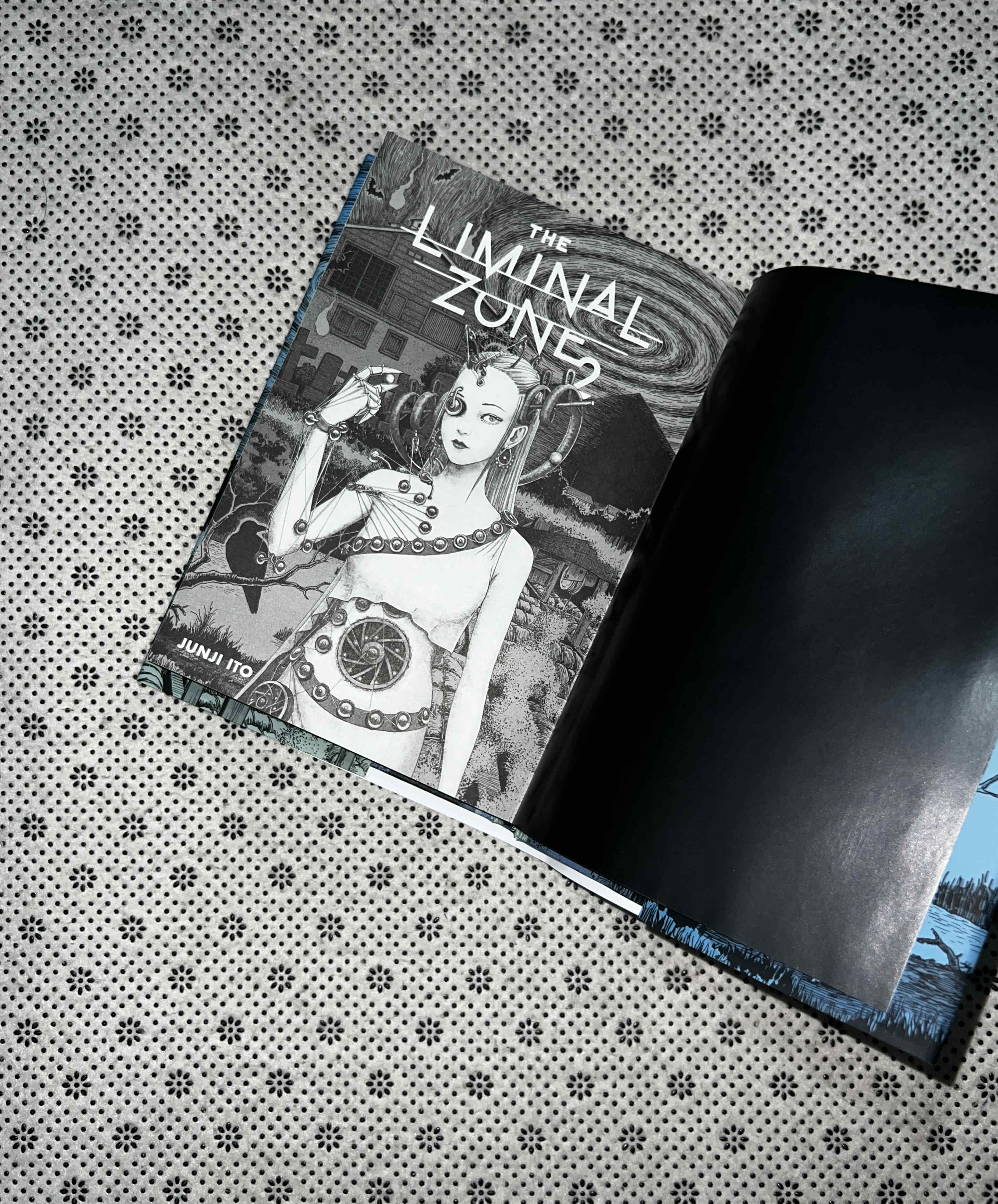 THE LIMINAL ZONE: (Volume 2) by Junji Ito