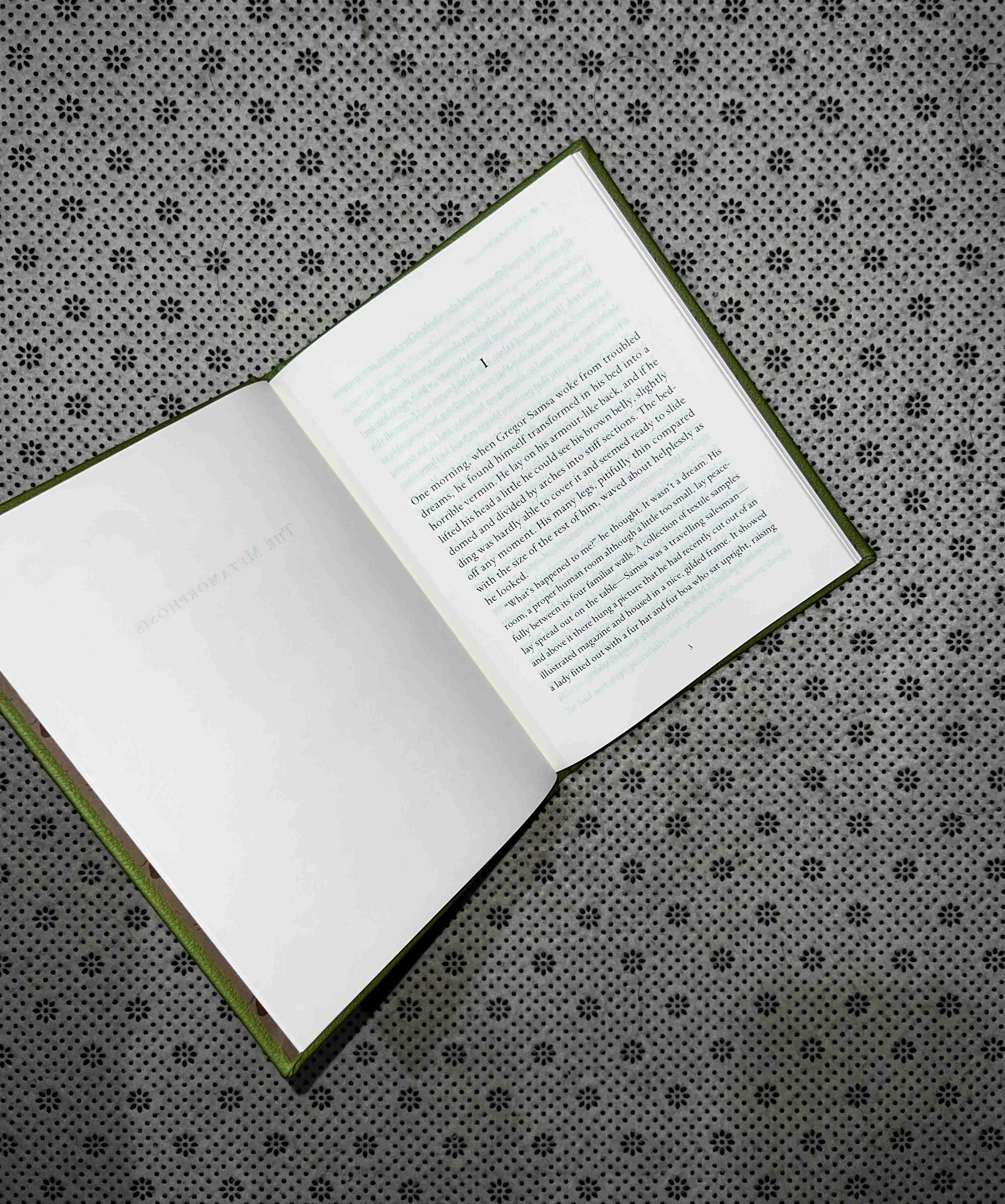 THE METAMORPHOSIS by Franz Kafka