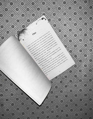 KILL JOY (after Dark Edition) by Holly Jackson