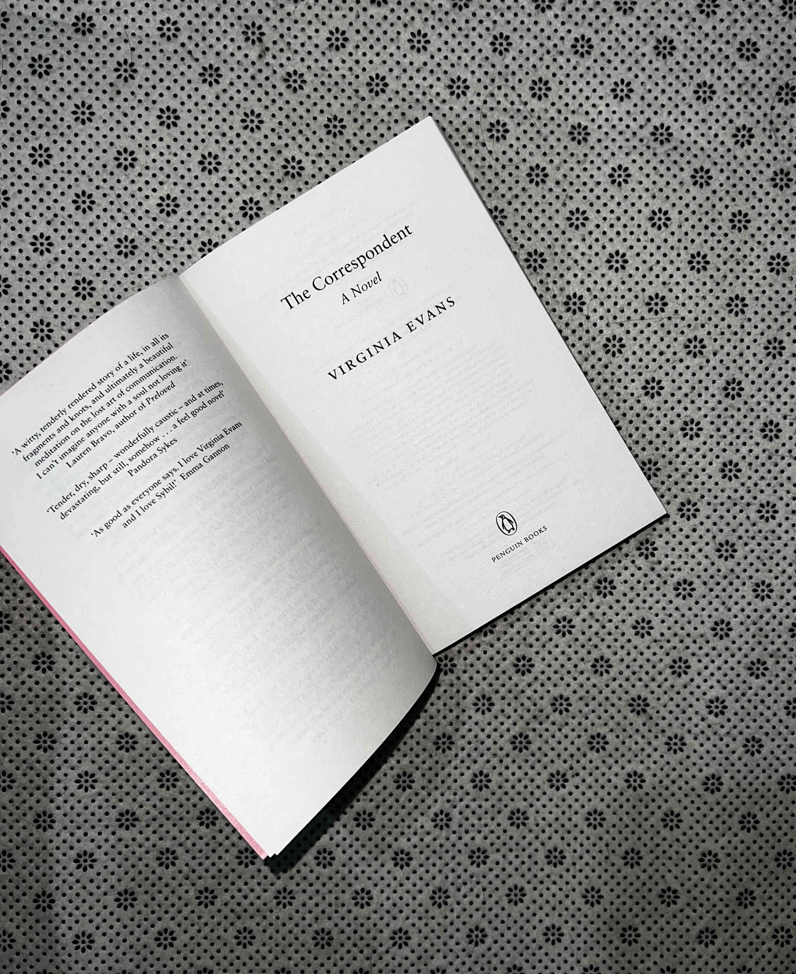 THE CORRESPONDENT by Virginia Evans