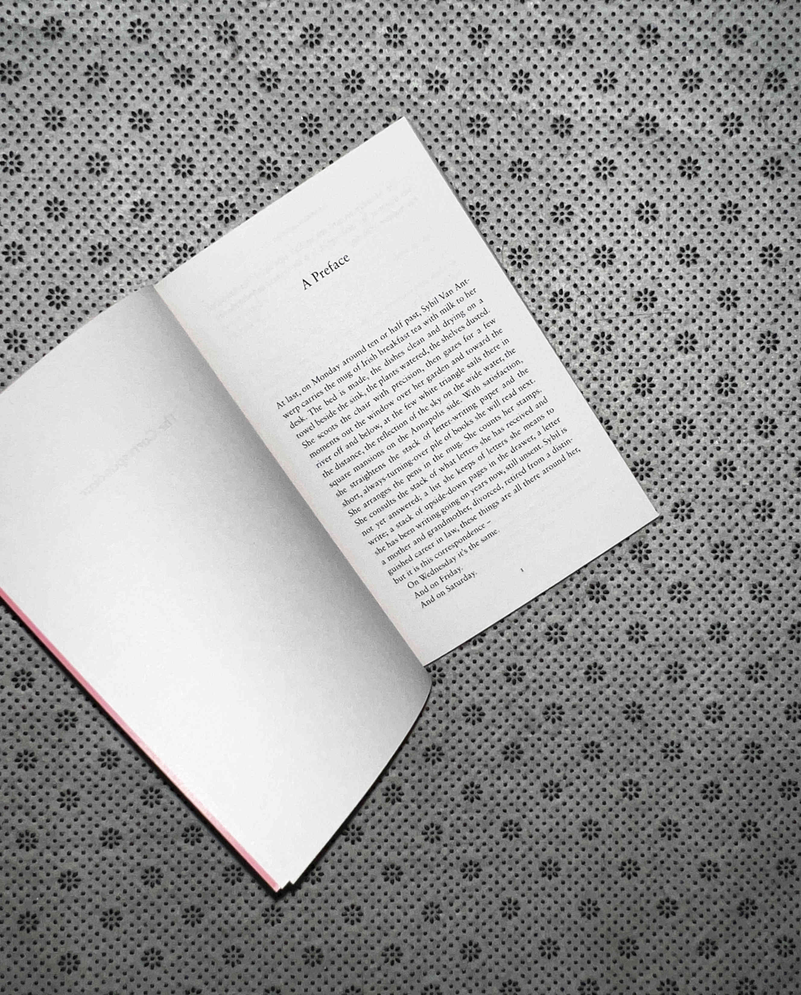 THE CORRESPONDENT by Virginia Evans
