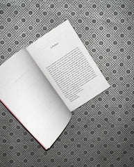 THE CORRESPONDENT by Virginia Evans