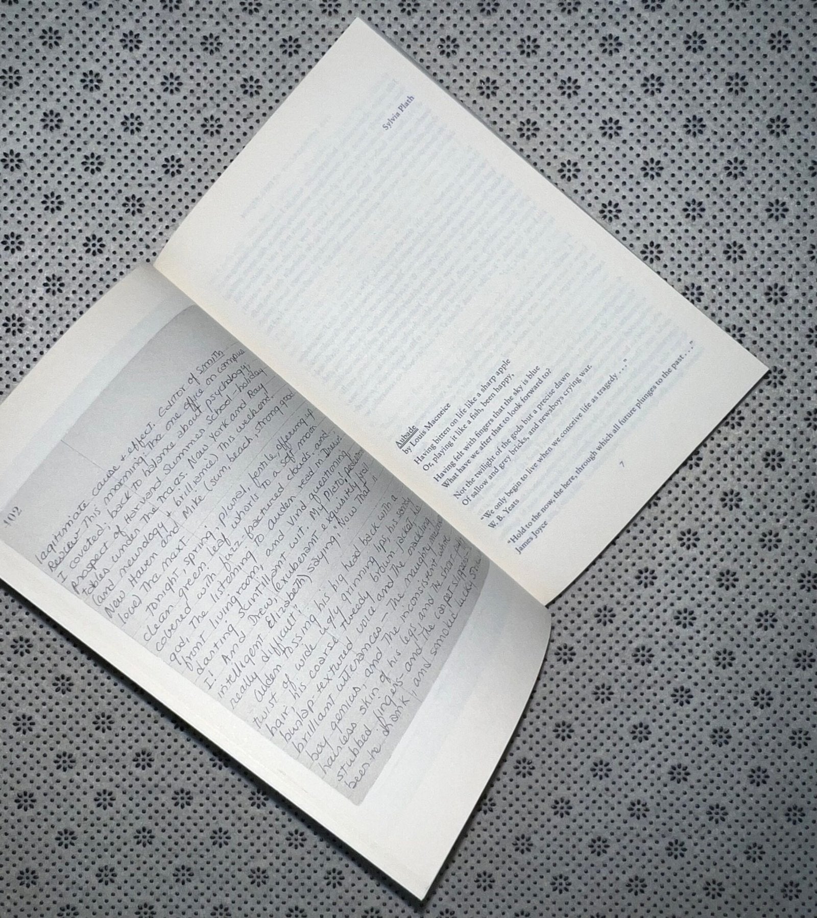 the journals of sylvia plath 1950 1962 edited by karen v kukil