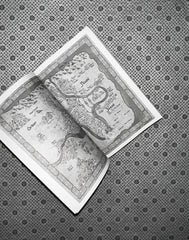 THE JASAD CROWN: The Scorched Throne Series (Book 2) by Sara Hashem
