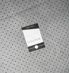 REFLECTIONS ON THE GUILLOTINE by Albert Camus