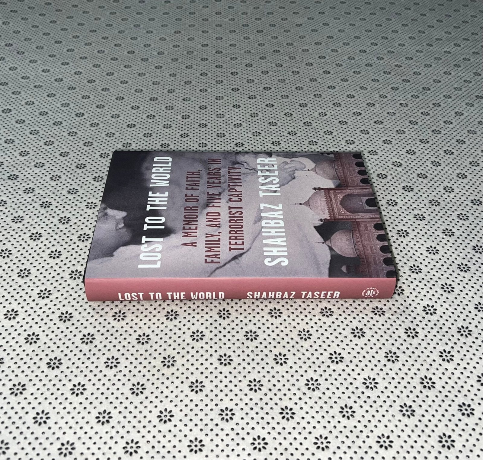 lost to the world by shahbaz taseer