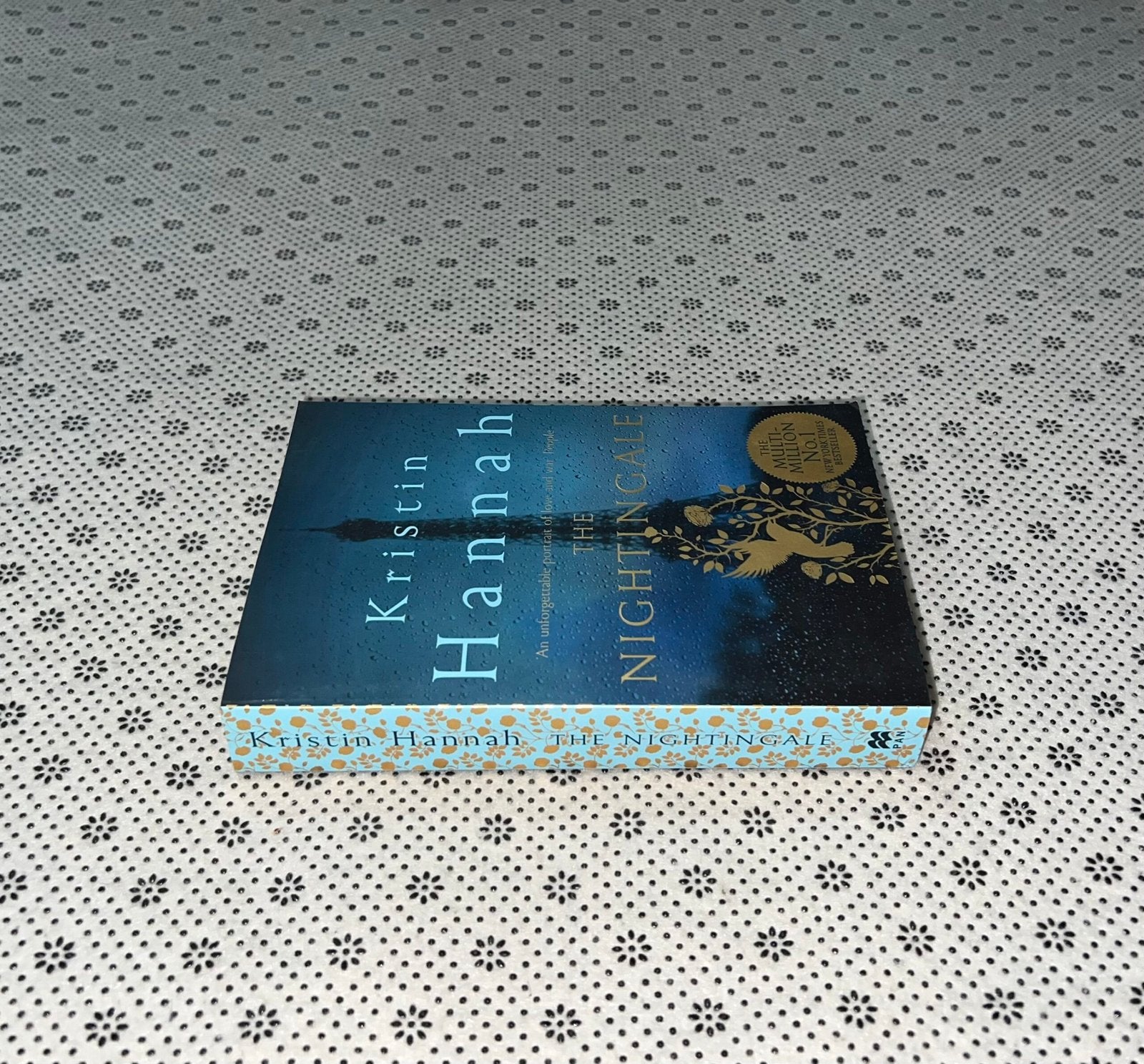 the nightingale by kristin hannah