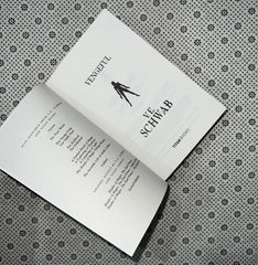 vengeful the villains series book 2 by v e schwab