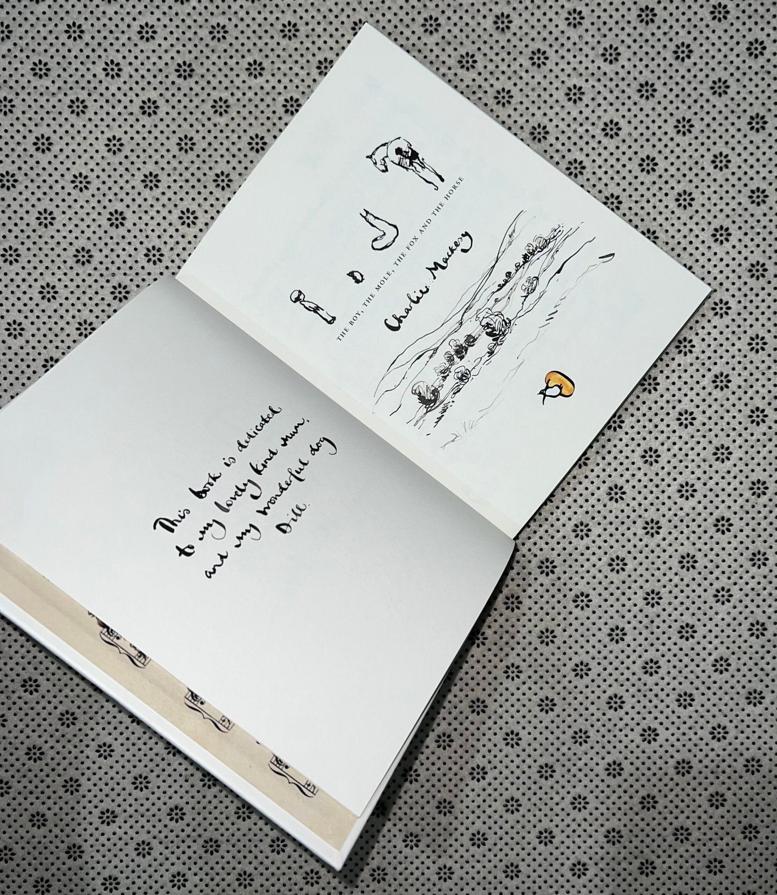 the boy the mole the fox and the horse by charlie mackesy