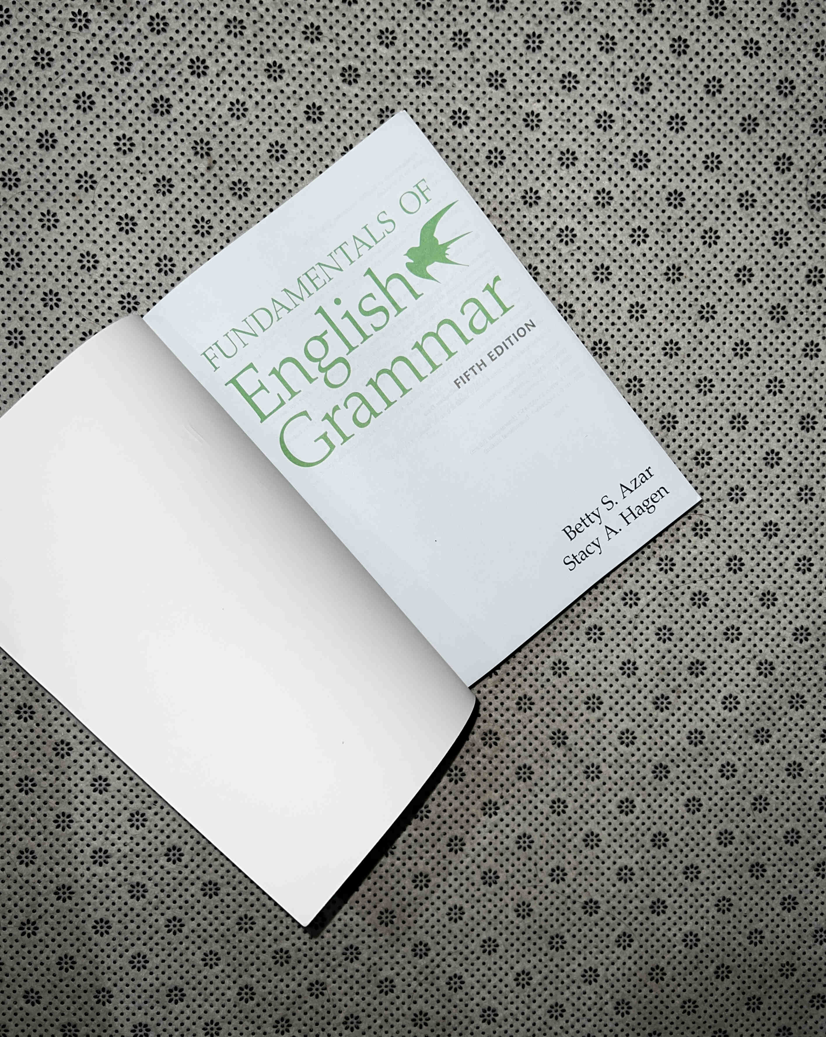 FUNDAMENTALS OF ENGLISH GRAMMAR by Betty Azar and Stacy Hagen