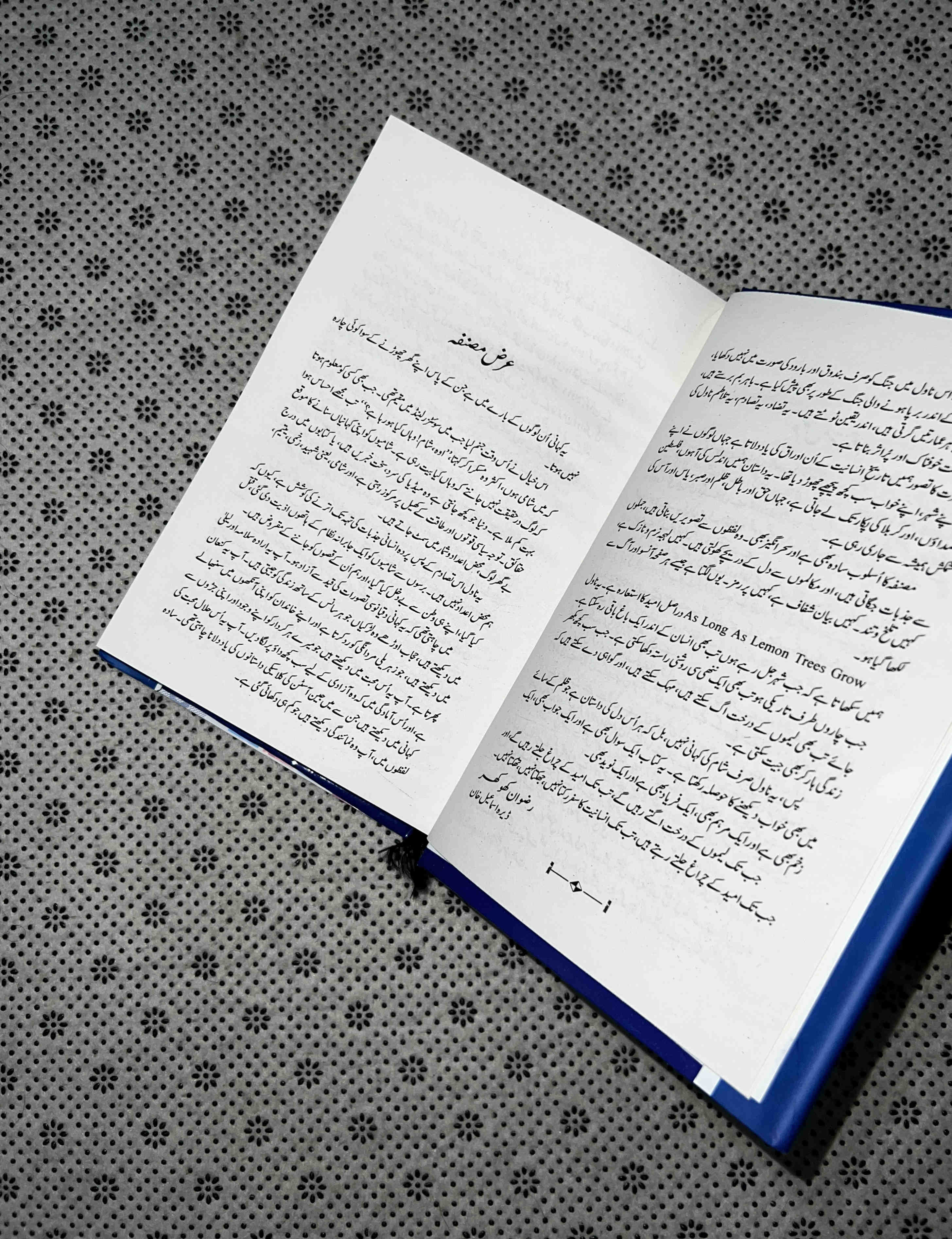 AANSO AAG AUR AAS (As Long As The Lemon Trees Grow: Urdu Translation) by Zoulfa Katouh