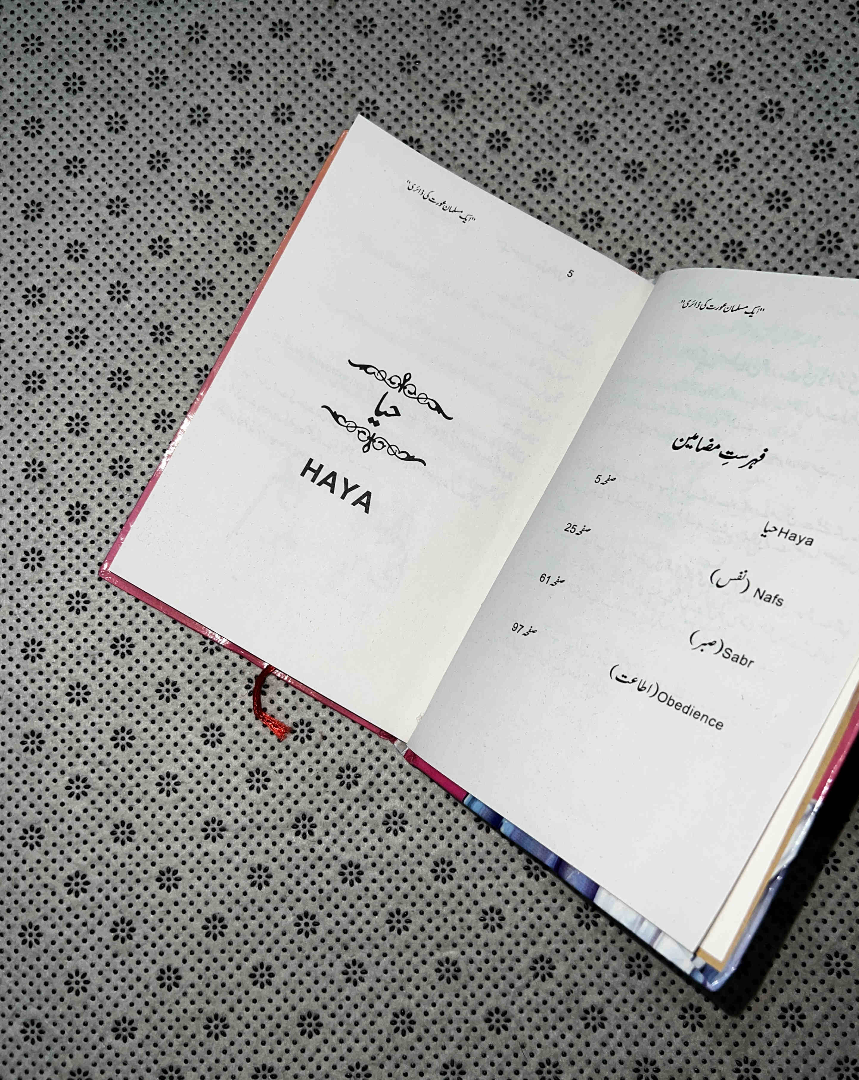 A MUSLIM WOMAN'S DIARY (Urdu Translation) by Sumaya Amiri