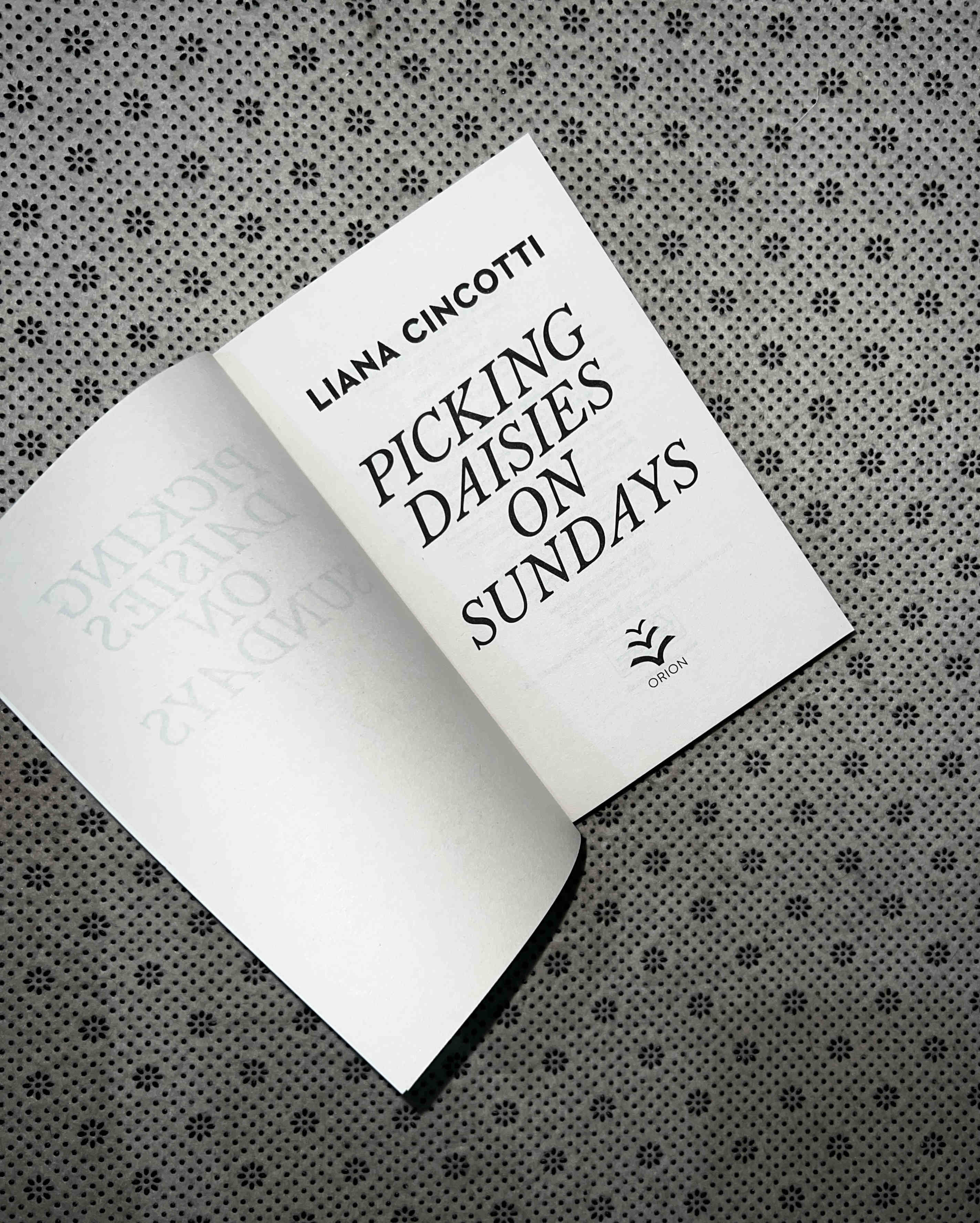 PICKING DAISIES ON SUNDAYS by Liana Cincotti