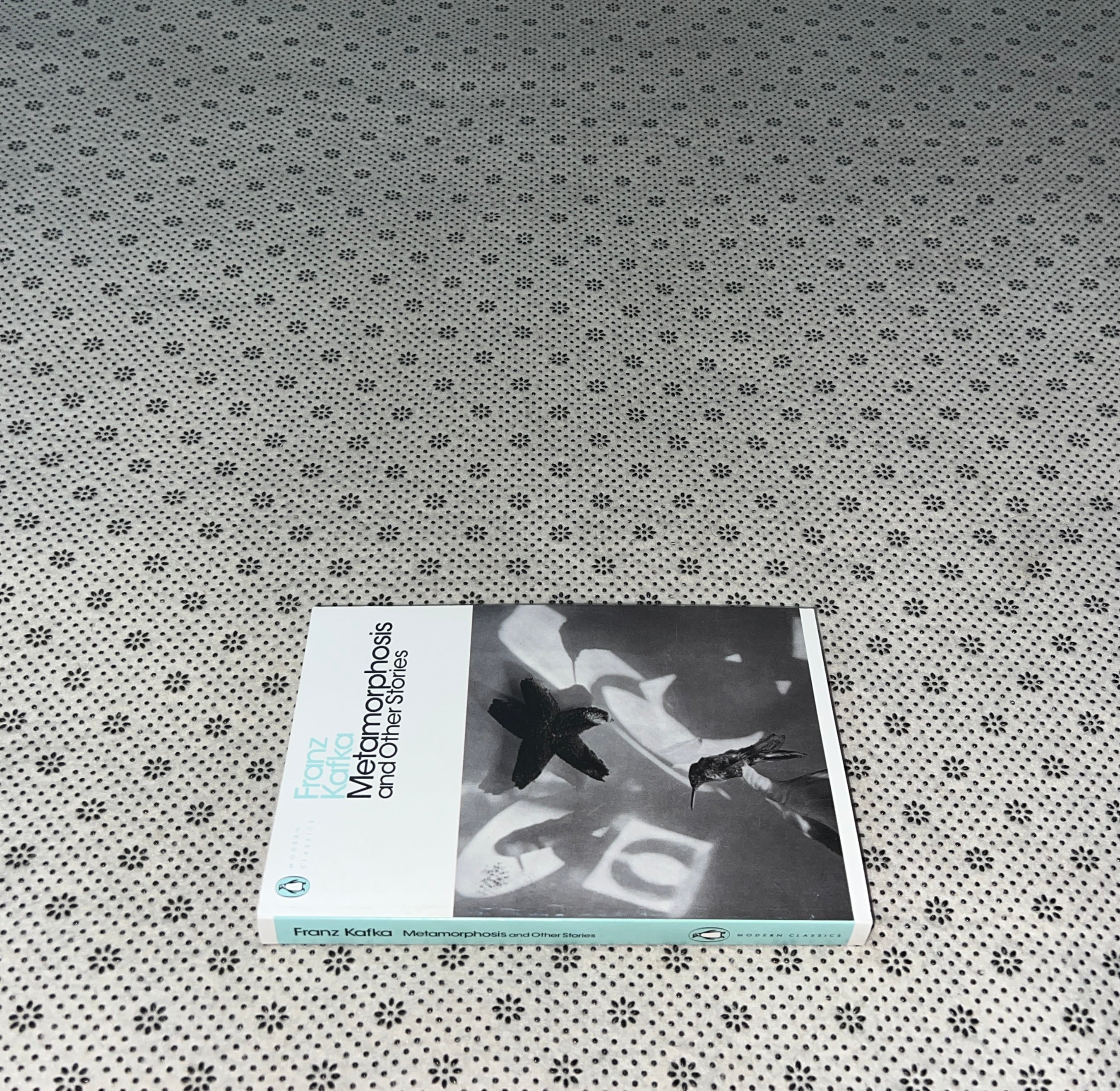 THE METAMORPHOSIS by Franz Kafka