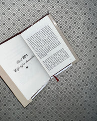 REBORN by Salva Amin