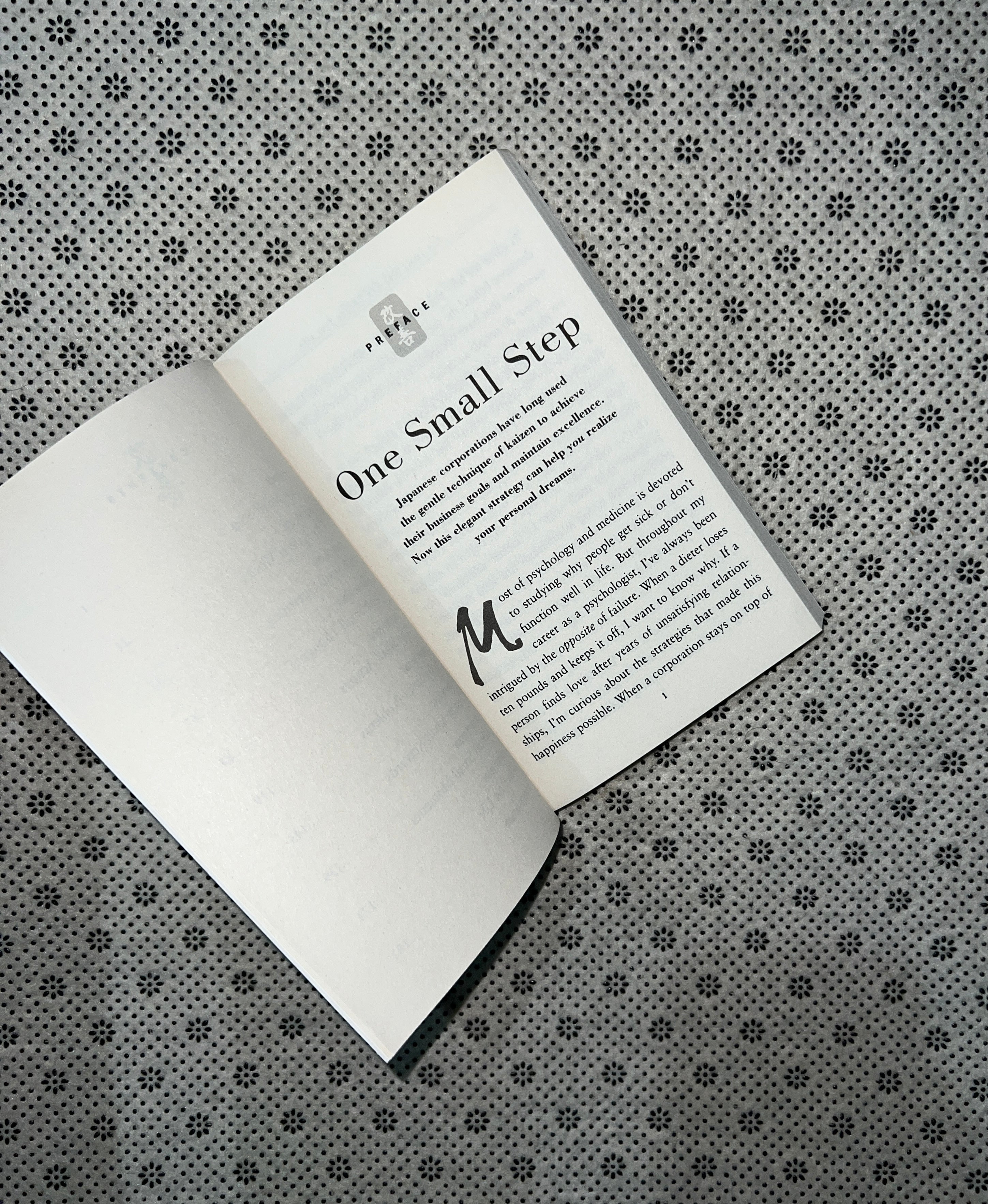 ONE SMALL STEP CAN CHANGE YOUR LIFE: The Kaizen Way by Dr. Robert Maurer