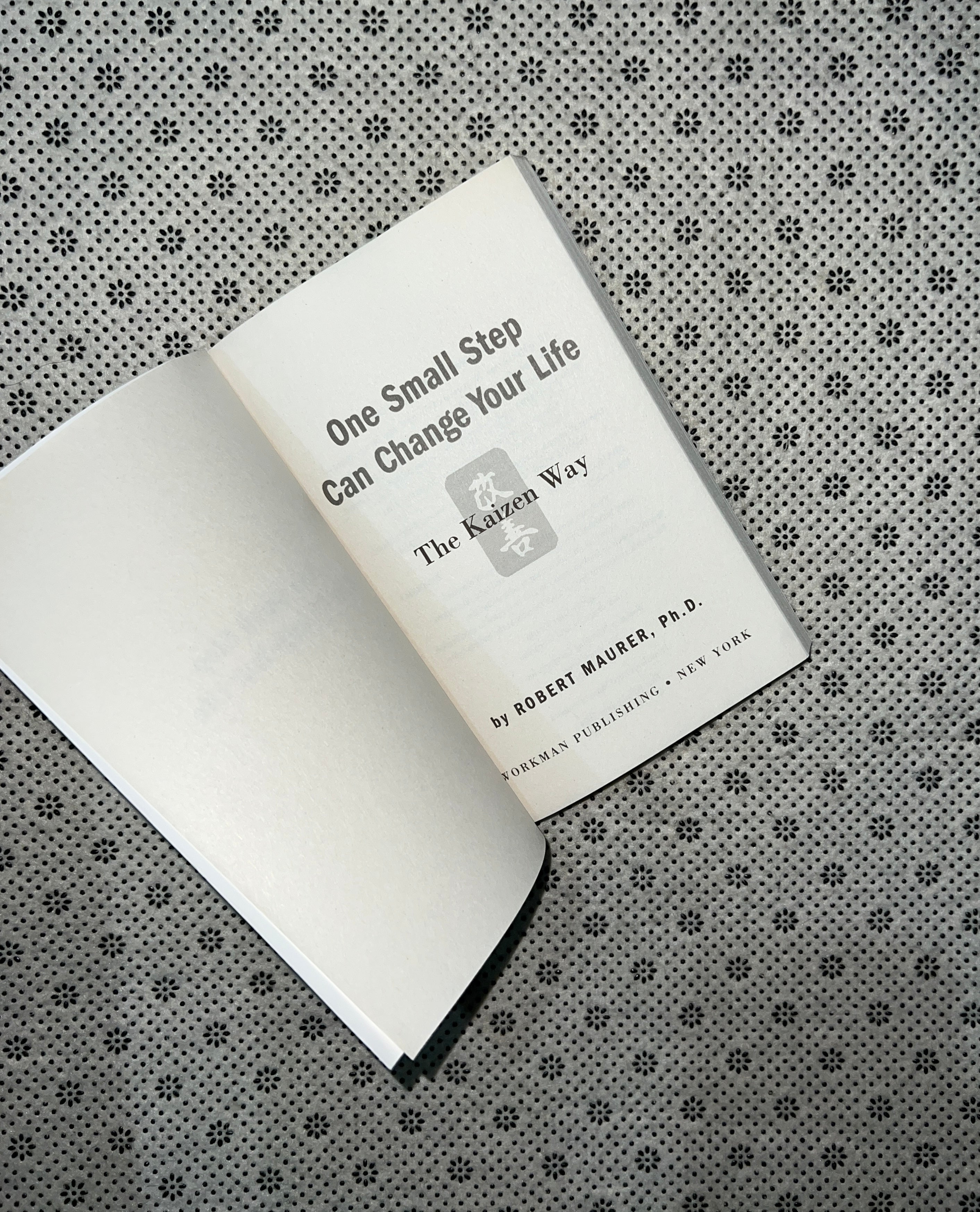 ONE SMALL STEP CAN CHANGE YOUR LIFE: The Kaizen Way by Dr. Robert Maurer