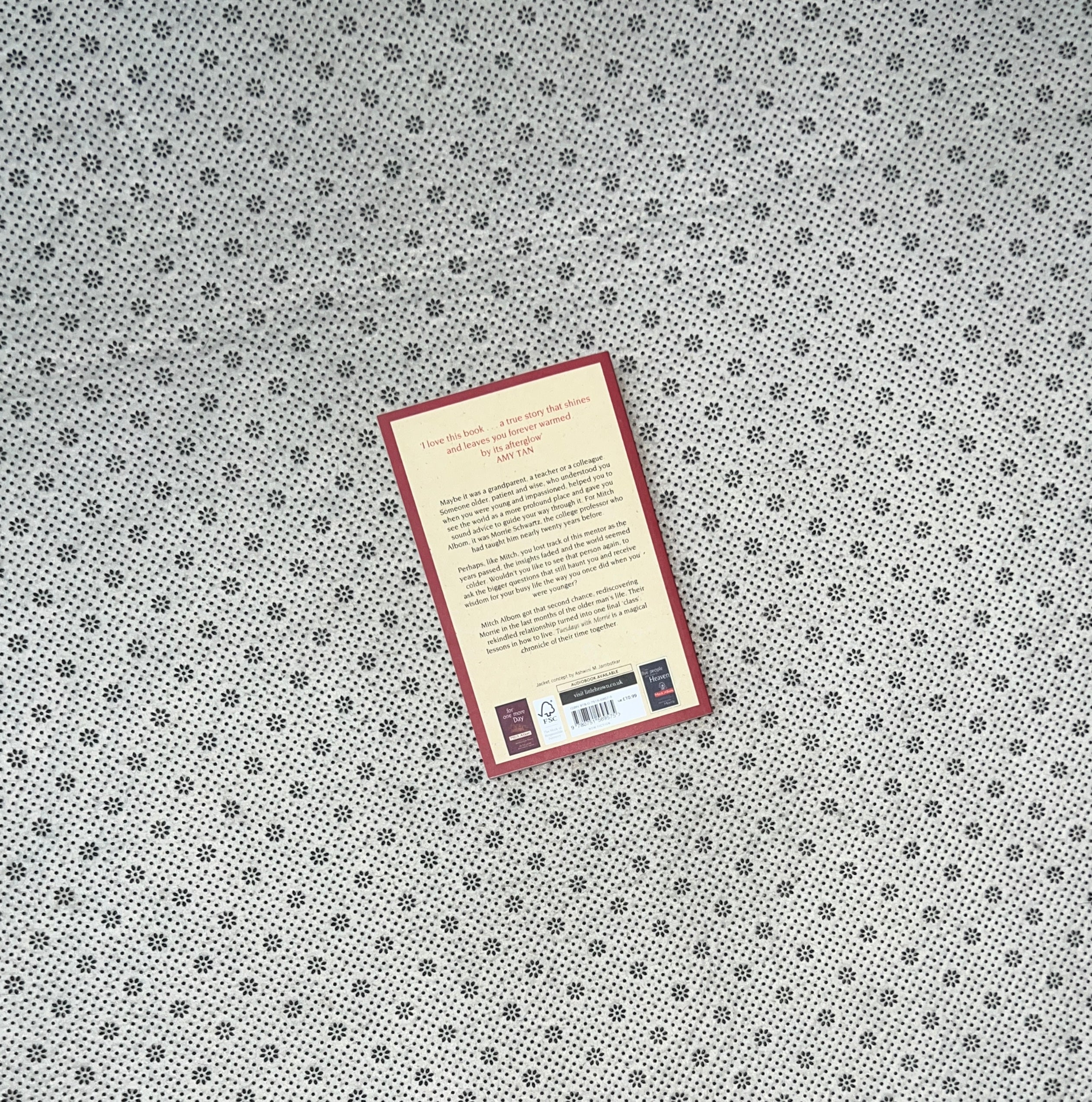 TUESDAYS WITH MORRIE: AN OLD MAN, A YOUNG MAN, AND LIFE'S GREATEST LESSON by Mitch Albom 