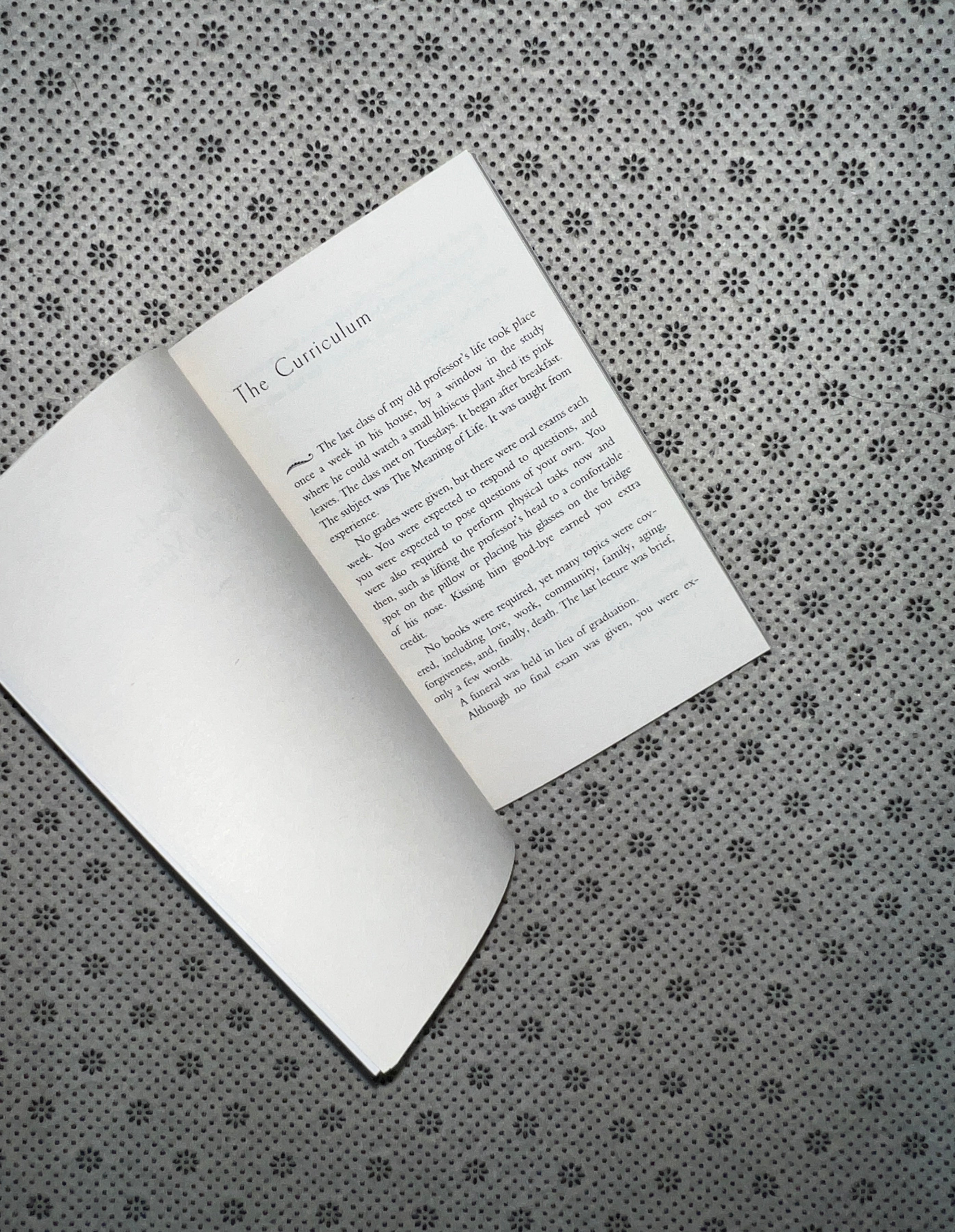 TUESDAYS WITH MORRIE: AN OLD MAN, A YOUNG MAN, AND LIFE'S GREATEST LESSON by Mitch Albom 