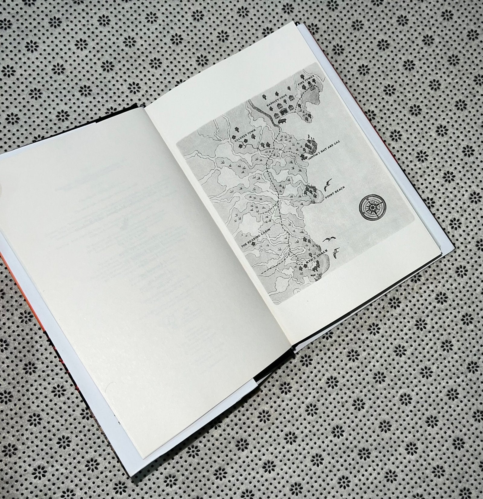 where the crawdads sing dust jacket edition by delia owens
