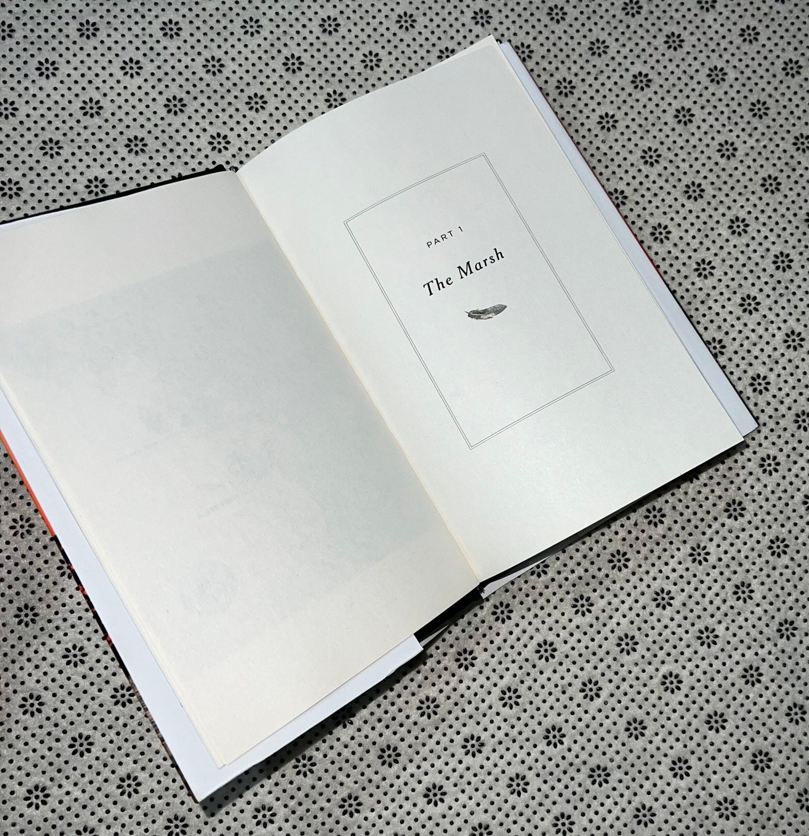 where the crawdads sing dust jacket edition by delia owens