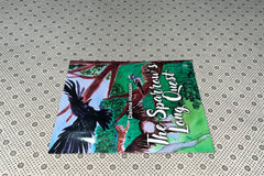 THE SPARROW'S LONG QUEST by Daima Hussain